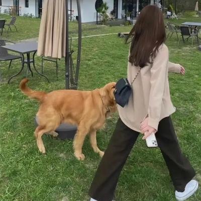 林投记