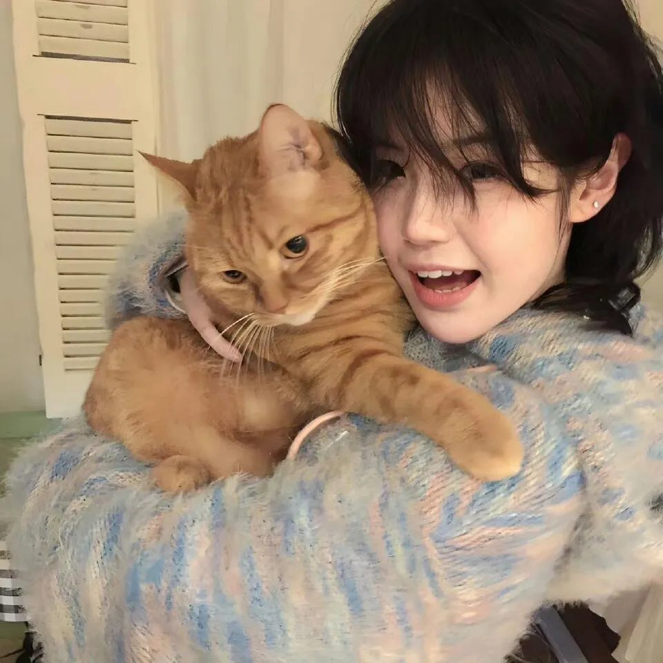 黑猴